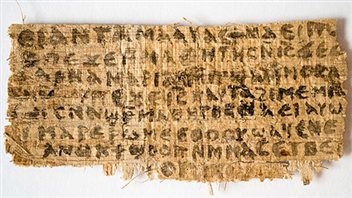 Le papyrus