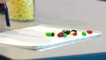 Modèle qui a inspiré le projet de vote par internet Jelly Beans à Edmonton