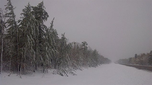 Scène hivernale le long de l'autouroute 317 près de Lac-du-Bonnet vendredi.