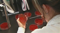 Technicienne en laboratoire