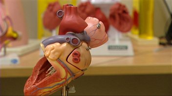 Coeur en plastique
