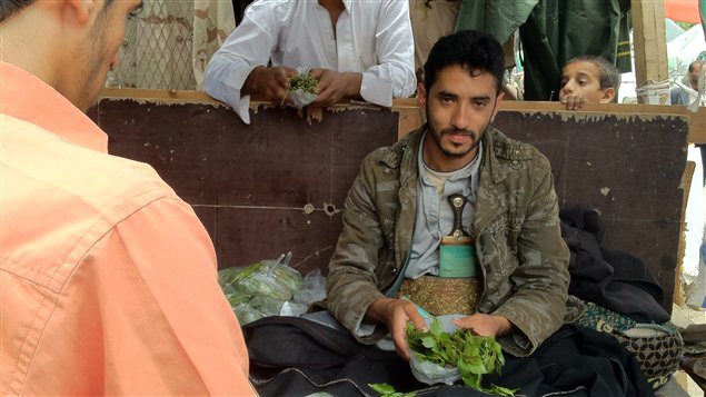 À midi, les vendeurs de qat, qui sont par centaines à Sanaa, font de bonnes affaires.