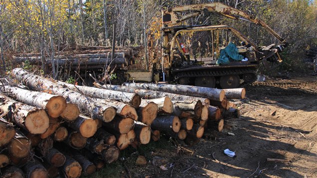 Ressources naturelles Canada classe dans la catégorie de bois traité, le bois de sciage, le bois de poteau rond et le bois d'oeuvre