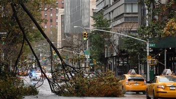 Des arbres brisés jonchent encore les rues de New York.