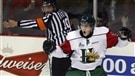 L'année de la LHJMQ