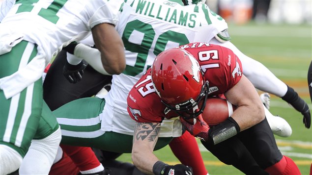 mitchell_stampeders