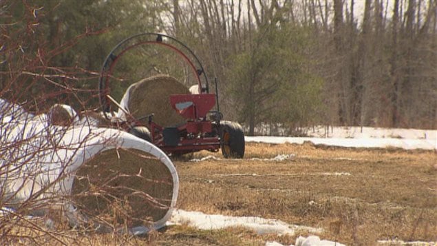 agriculture
