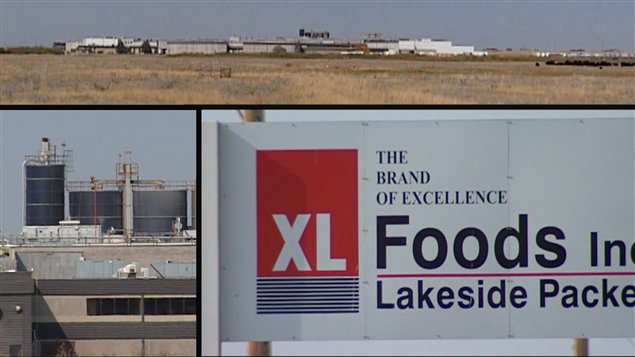 XLFoods