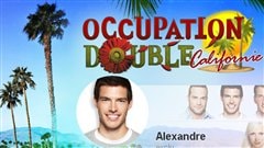 Occupation Double