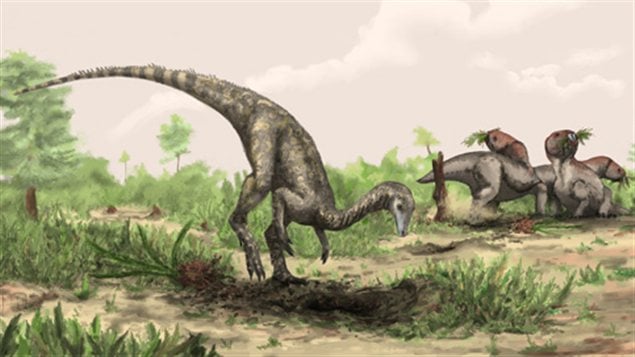 Nyasasaurus parringtoni