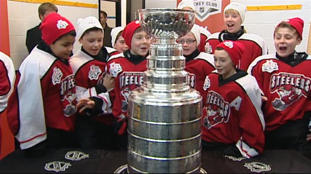 Même si elle n'en a pas le statut officiel, la Coupe Stanley est considérée comme l'emblème de la suprématie au hockey canadien. La Coupe Stanley est aujourd’hui aussi le plus ancien trophée d'Amérique du Nord, tous sports professionnels confondus.