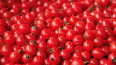 Des tomates raisins | iStockphoto