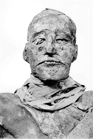 La momie de Ramsès III.