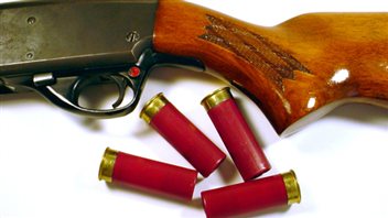 Un fusil de chasse et des cartouches
