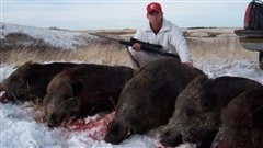 Un chasseur et les sangliers qu'il a tués.