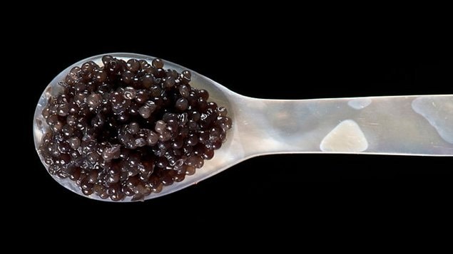 Caviar