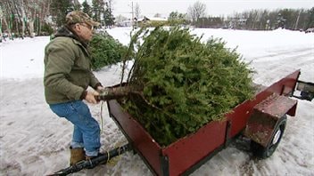 Recyclage de sapins de Noël