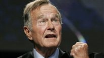Bush
