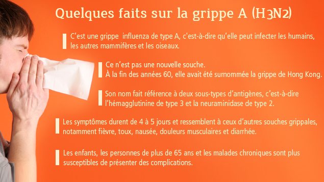 Quelques faits sur la grippe A (H3N2)