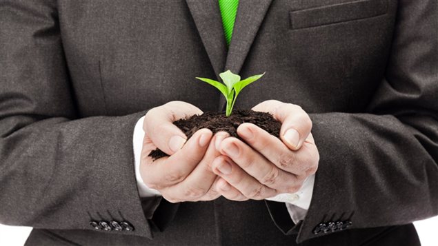 Un homme avec une plante dans les mains