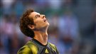Ce sera Murray-Djokovic