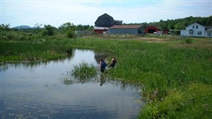 Les rivières de la Montérégie toujours contaminées par les pesticides