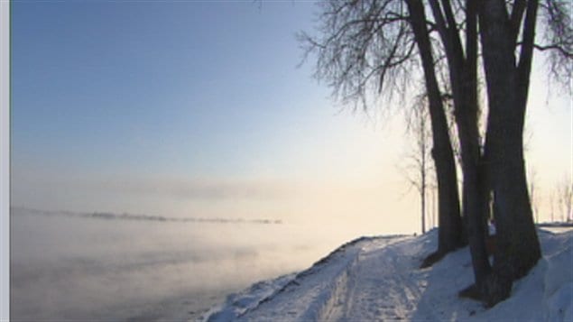 froid