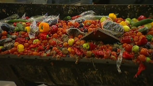 Les banques alimentaires canadiennes et étrangères devraient pouvoir profiter un peu plus du gaspillage alimentaire pour garnir leur étagères. Un tiers de la production alimentaire mondiale se retrouve chaque année dans nos poubelles alors qu'un septième de la population mondiale a faim.