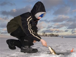 La pêche du cordage sur la tanche