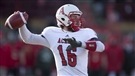 Trois Alouettes canadiennes
