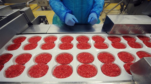 L'usine Spanghero, dans le sud-est de la France, est touchée par le scandale de la fraude sur la viande de cheval.