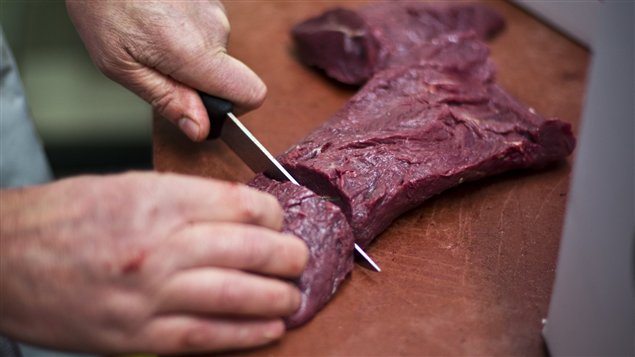 Viande de cheval