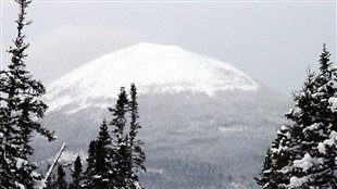 About a metre of snow has fallen since a man went missing in Gaspé provincial park on Sunday evening.