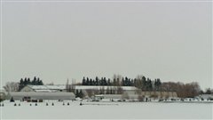 Une ferme de la région agricole Horse Hill dans le nord-est d'Edmonton Une ferme de la région agricole Horse Hill dans le nord-est d'Edmonton