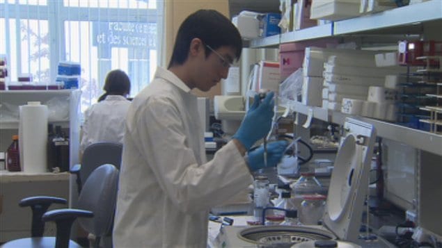 Recherche dans un laboratoire