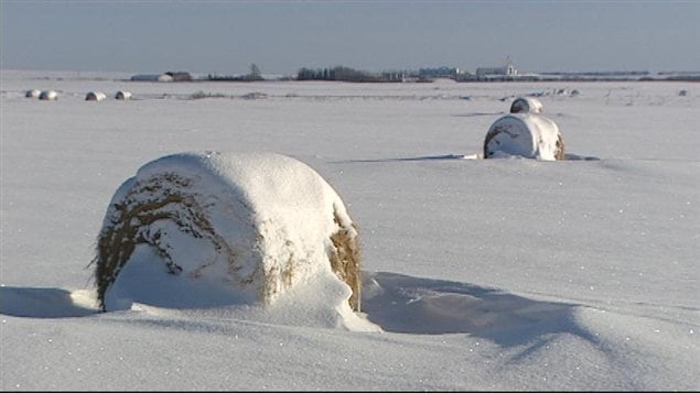 Un champ agricole enneigé à Montmartre, en Saskatchewan, en février 2013.