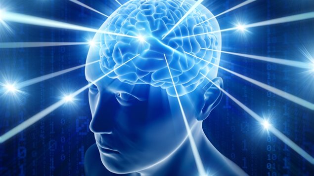 Cerebro y vejez.