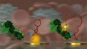 Représentation artistique du projet (molécules détectées par le biocapteur) / crédit Université de Montréal