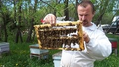 Un apiculteur à l'oeuvre