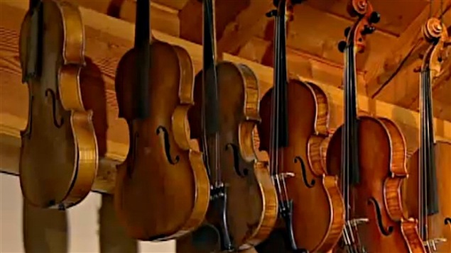 Violines en el taller. 