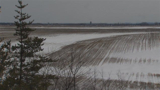 Terre agricole, en hiver