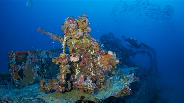 The Deck gun of the Oite Destroyer, with a rebreather diver in the background.