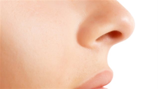 nez_bouche