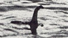 Une photo truqu�e de Nessie, le monstre du Loch Ness / � Mav, Wikip�dia