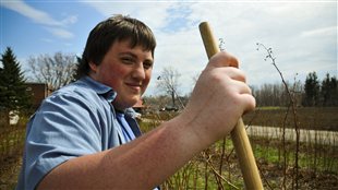 Travailler à la ferme pour s’intégrer socialement