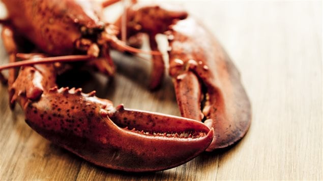 Homard