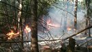 Danger d'incendie de forêt demeure élevé en Outaouais et dans le Pontiac