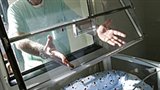 医院中接收弃婴的玻璃盒