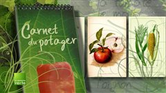 R�sultat de multiples s�lections, le poivron est un ingr�dient indispensable de la ratatouille et d'innombrables autres plats.