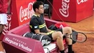 Raonic en baisse